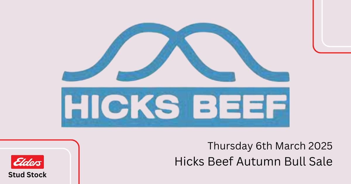 Hicks Beef Autumn Bull Sale