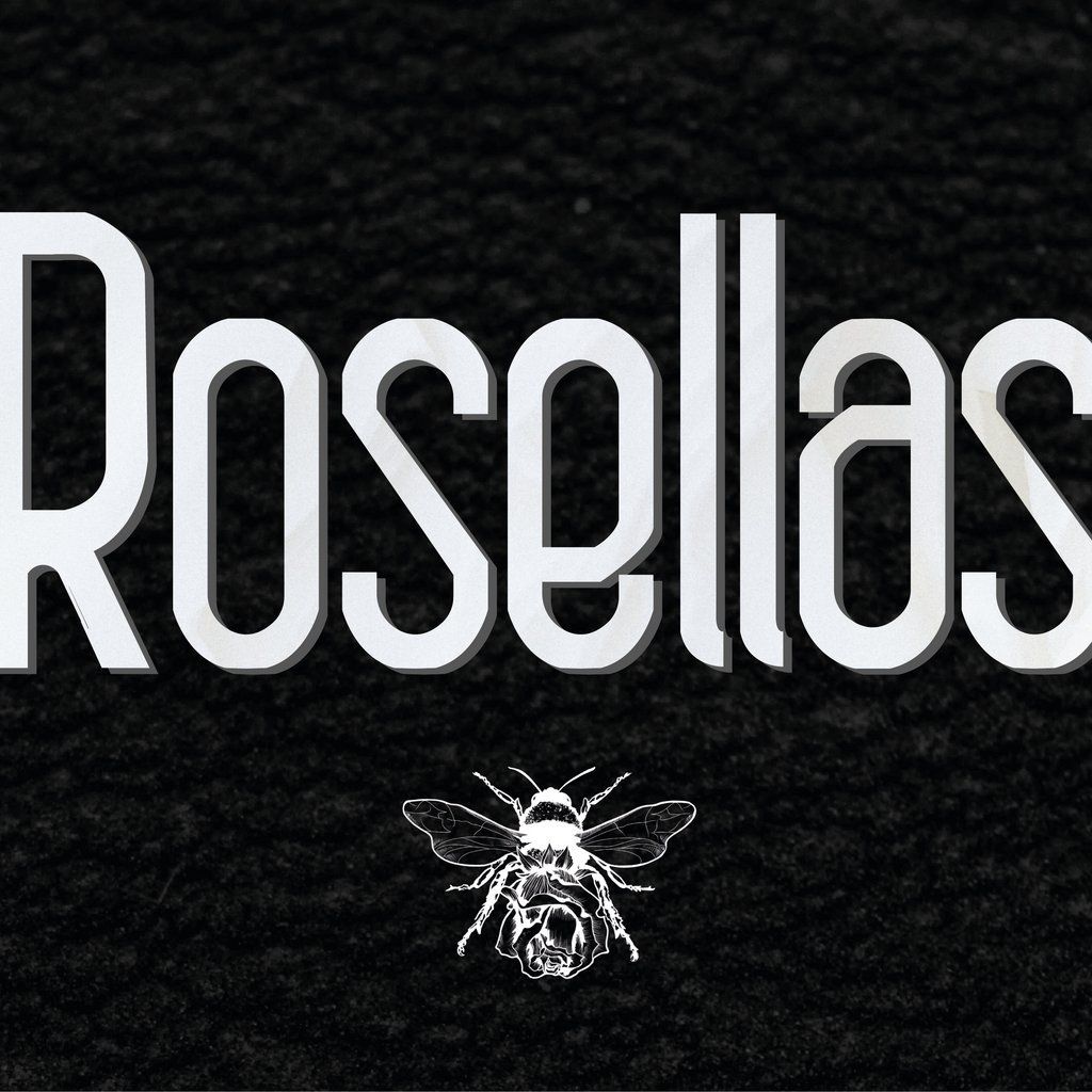 Rosellas at The Parish Wrexham