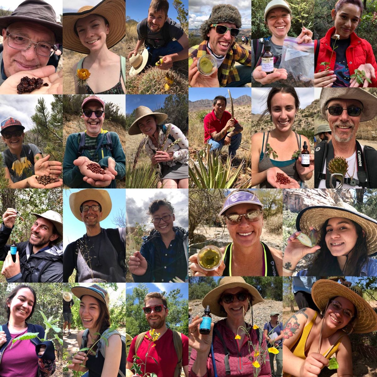 Edible & Medicinal Plants of the Sonoran Desert: Phoenix Area