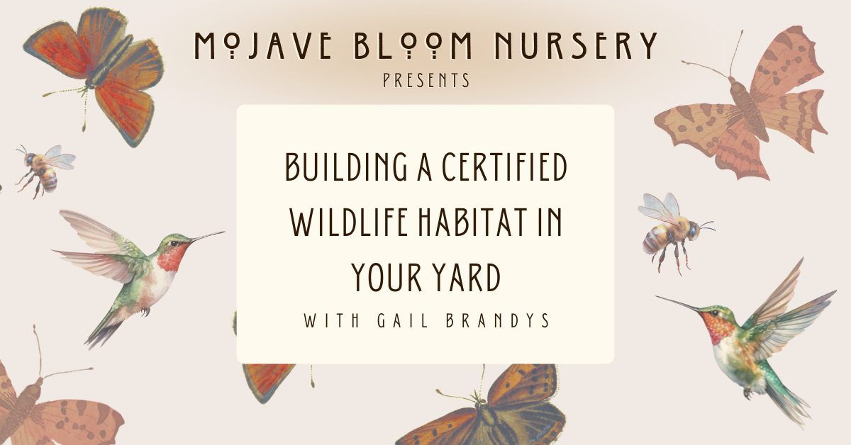 Building A Certified Wildlife Habitat In Your Yard with Gail Brandys