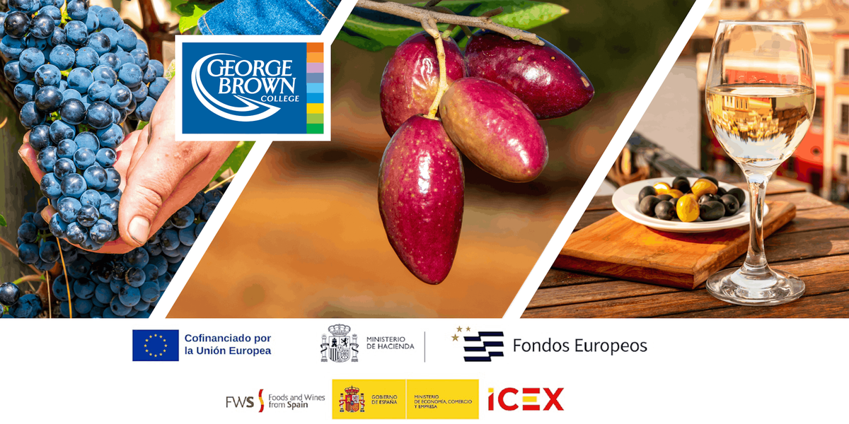Essence of Spanish Cuisine: Seminar on Spanish Wines and Olive Oil