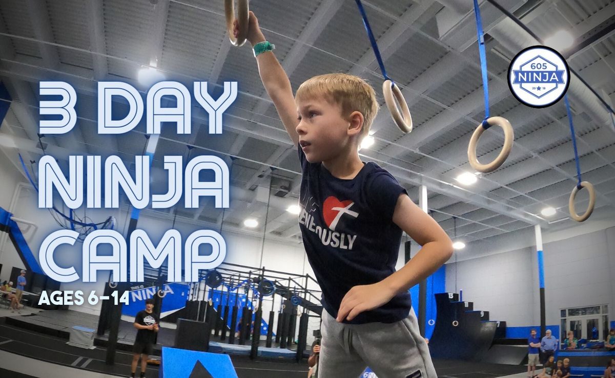 3 Day Ninja Camp Session 4 (Last One for the Summer) 