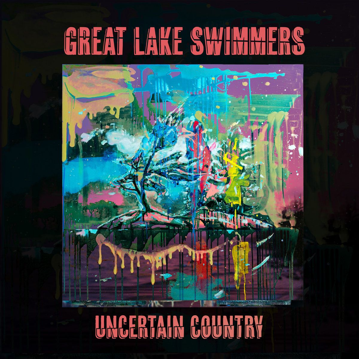 Great Lake Swimmers