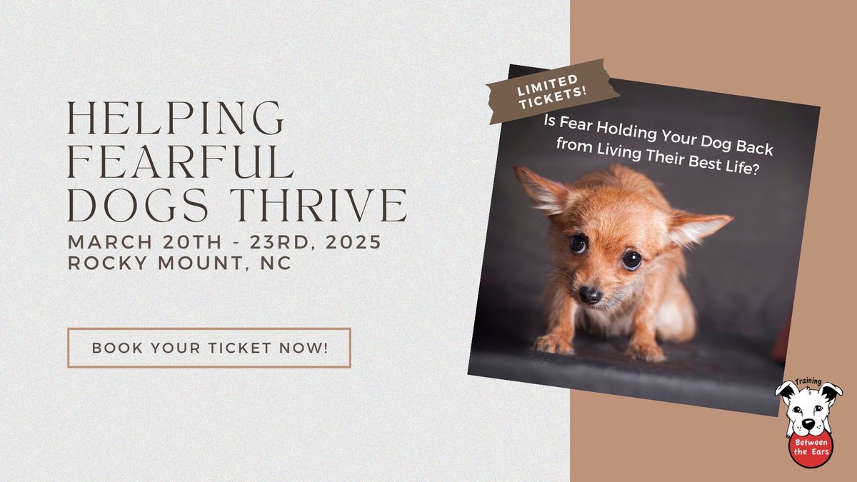 Helping Fearful Dogs Thrive