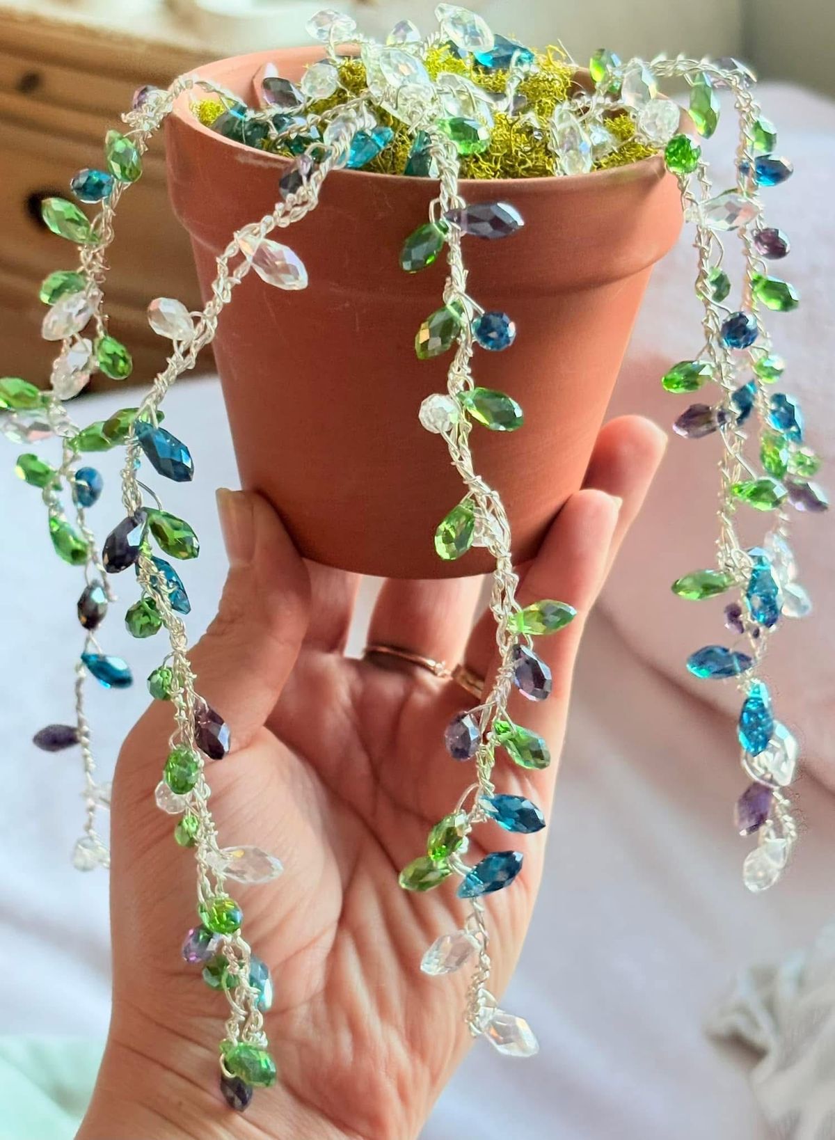 Succulent Sun Catcher workshop