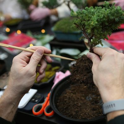 Be Part of the Journey