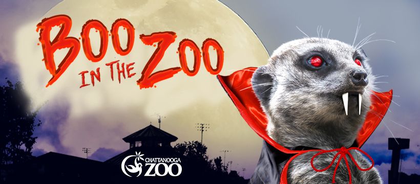 Boo in the Zoo