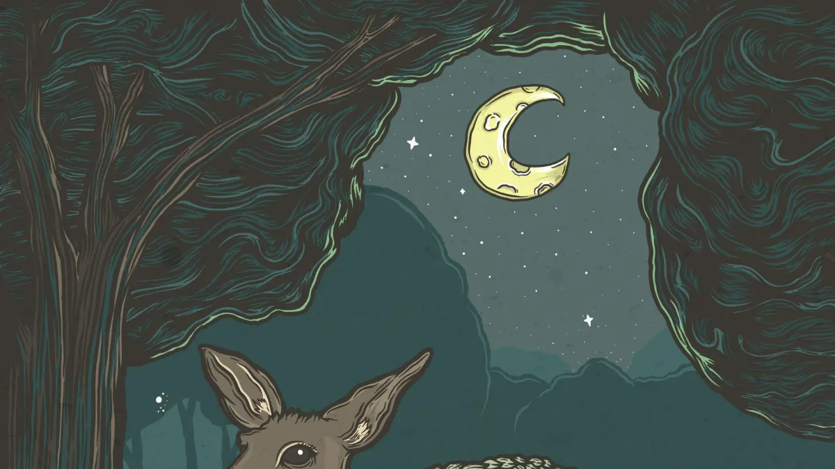 Quinn, Ivory in City of Brisbane