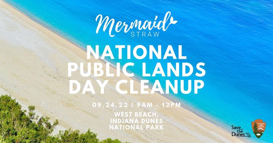 Mermaid Straw Beach Cleanup