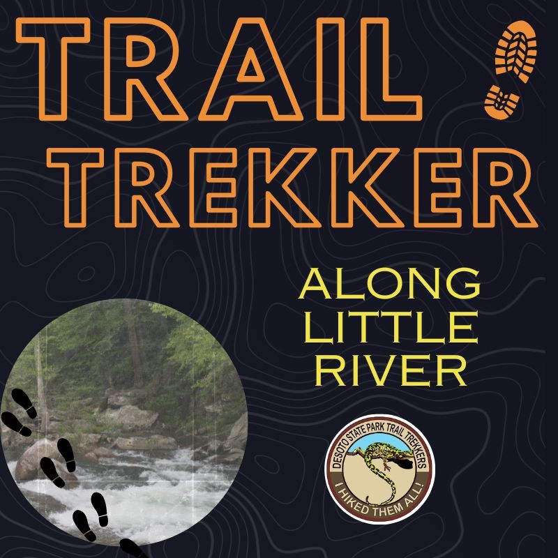 Trail Trekker Hike Series: Along Little River