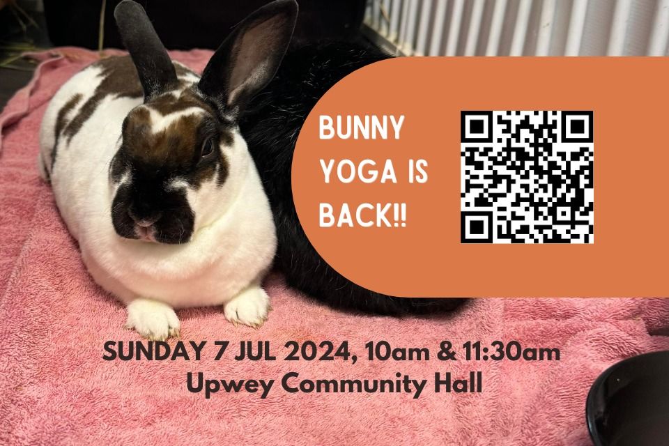 2024 BUNNY YOGA IS BACK! 