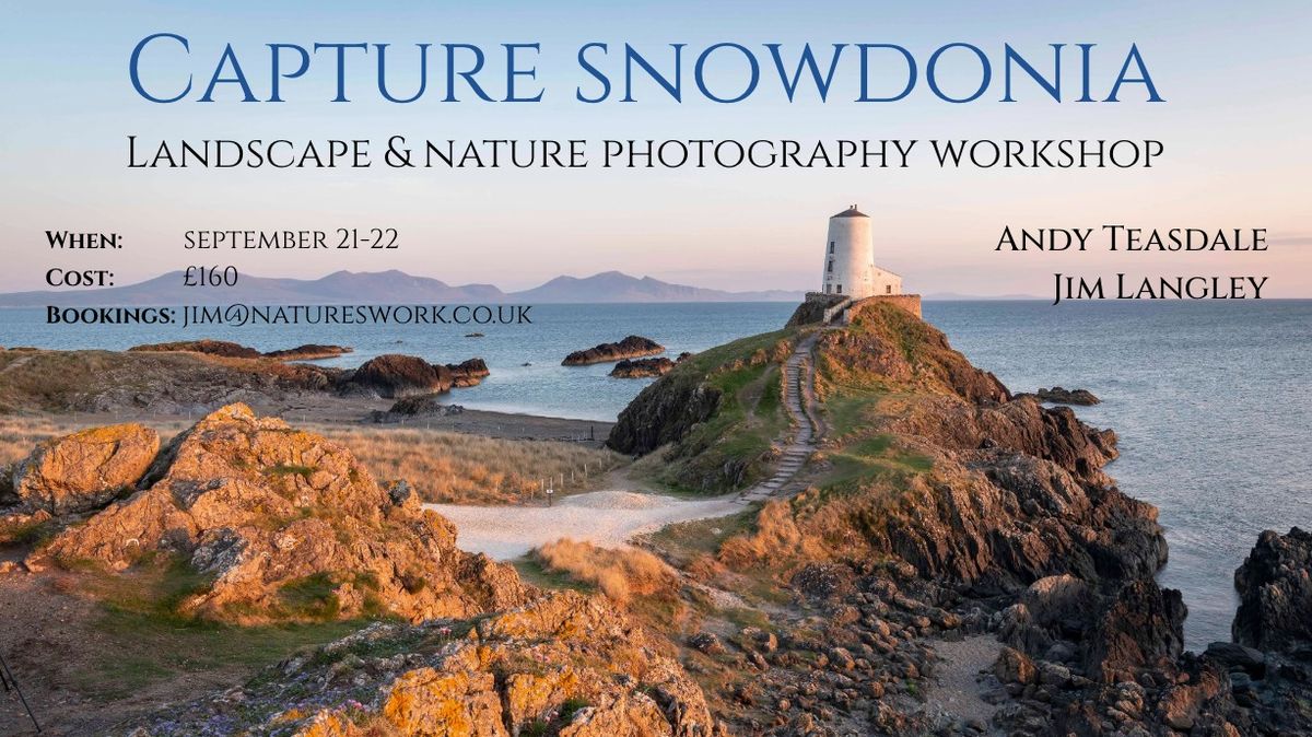 Capture Snowdonia - Landscape & Nature Photography