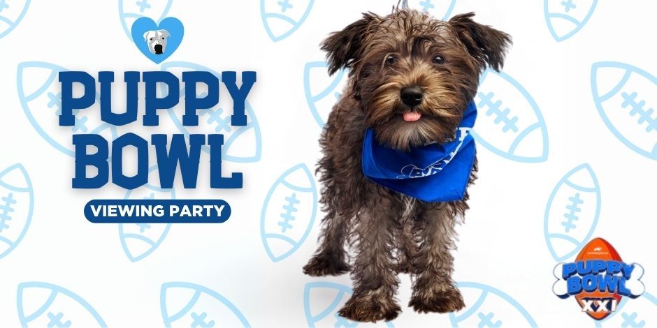 Puppy Bowl XXI Viewing Party