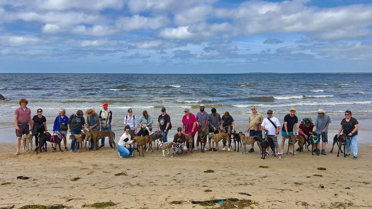 Altona Beach Greyhound Walk