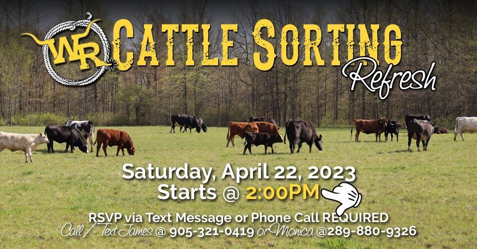 Cattle Sorting REFRESH at Willoughby Ranch - NOTE DATE & TIME!