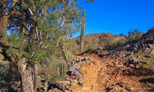 Desert Park to Gateway Loop Fitness Hike at Gateway Trailhead