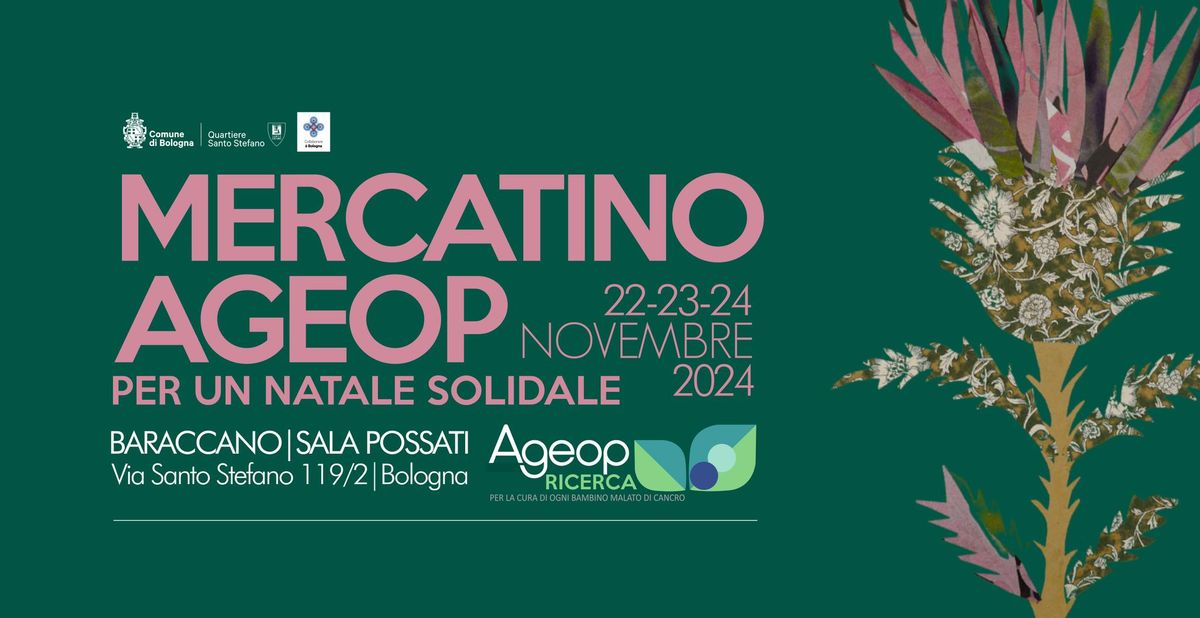 Mercatino Ageop \u2013 Per un Natale Solidale 