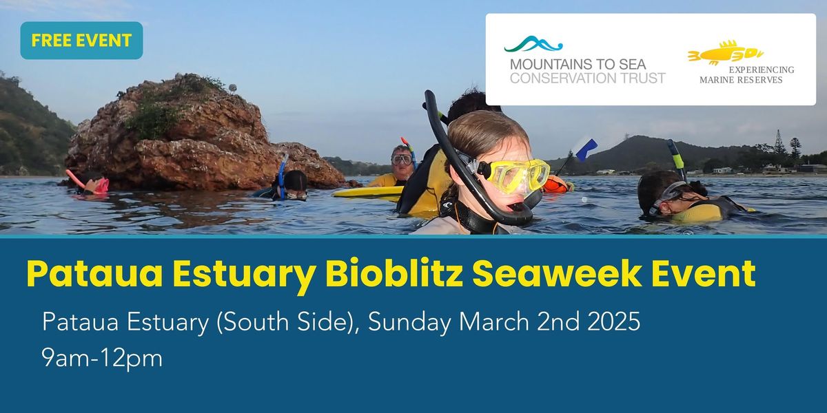 Seaweek Pataua Estuary Bioblitz Event