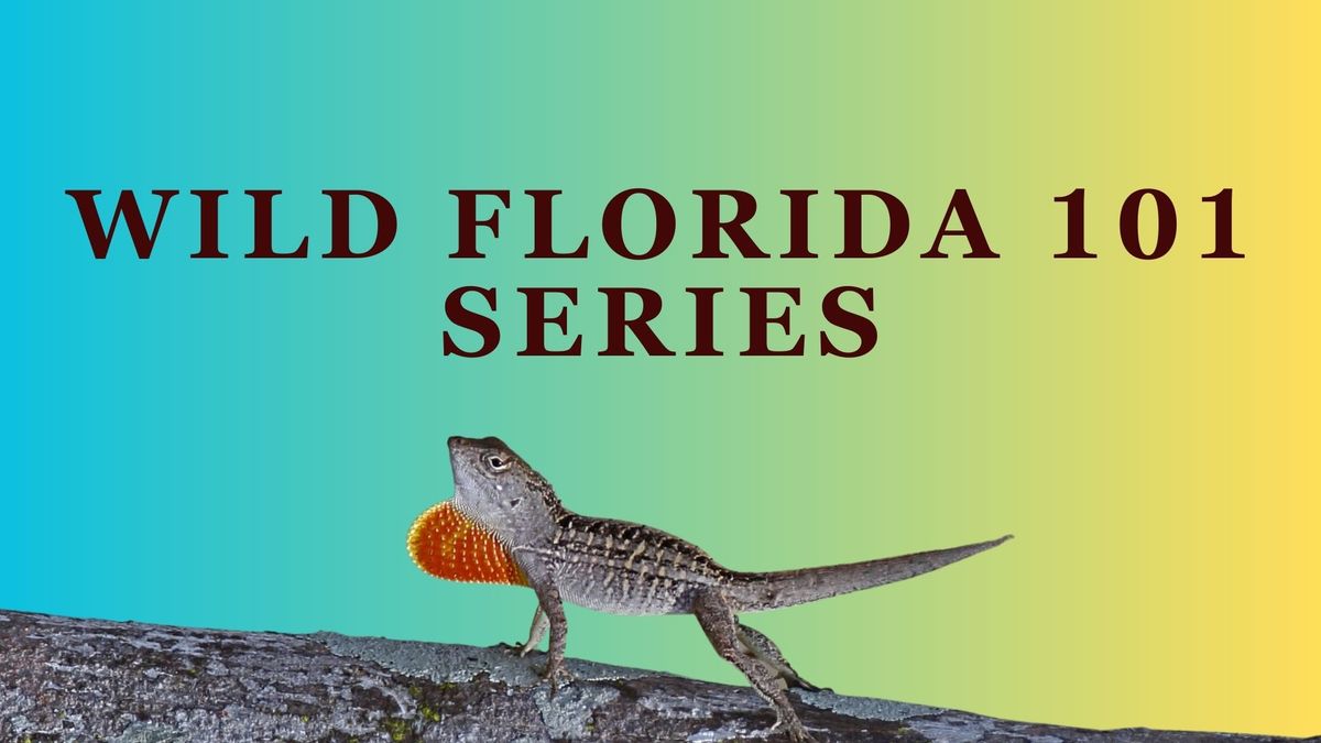 Wild Florida 101 Series