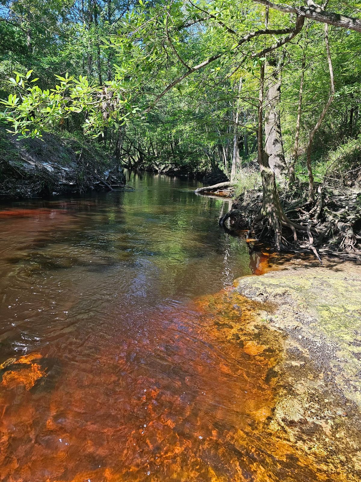 Black Creek Paddle Battle and Fun Float