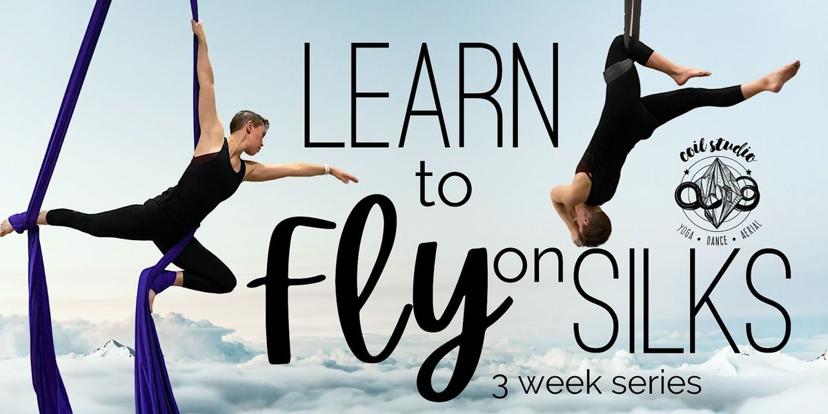 Learn to Fly on Silks