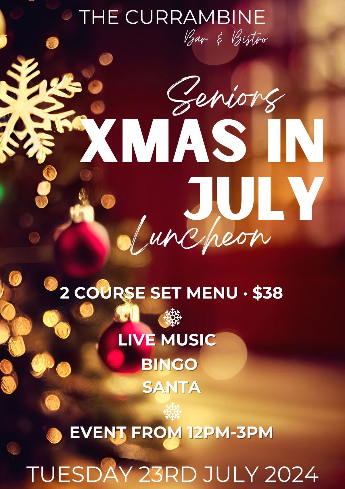 Seniors Christmas in July Luncheon