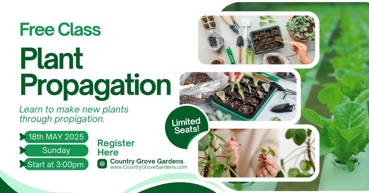 Plant Propagation 101 class