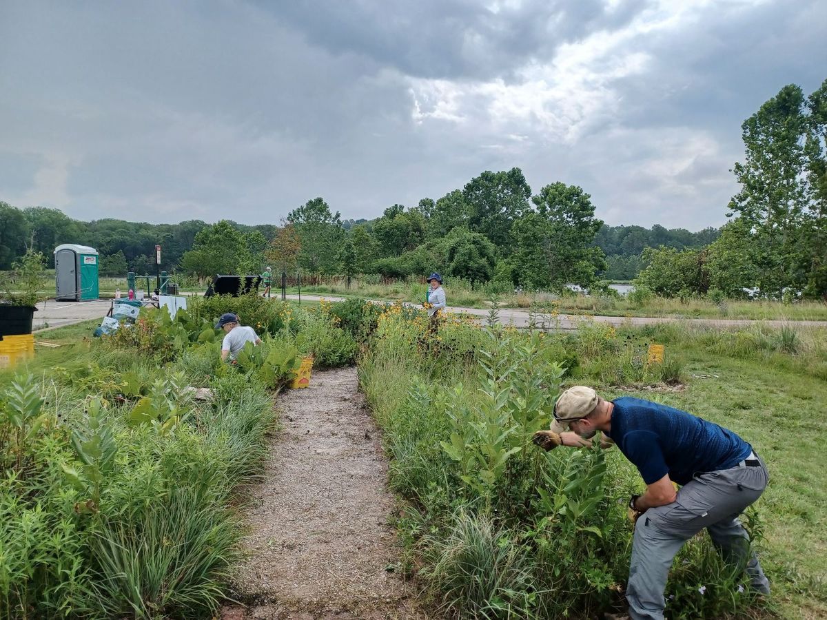 Pollinator Garden Maintenance at Mallard Lake