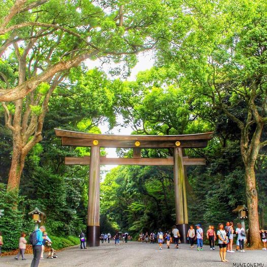 40 50代 東京散歩 1人参加 渋谷 Pin明治神宮外苑 明治神宮 Tokyo 24 October 21 40 50代 東京散歩 1人参加 渋谷 Pin明治神宮外苑 明治神宮 Tokyo 24 October 21