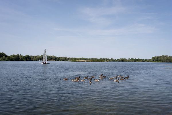 Balade naturaliste : pause migratoire