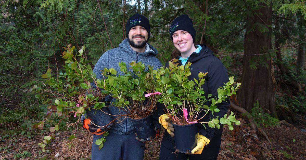 Reg Franklin Invasive Removal and Native Planting 