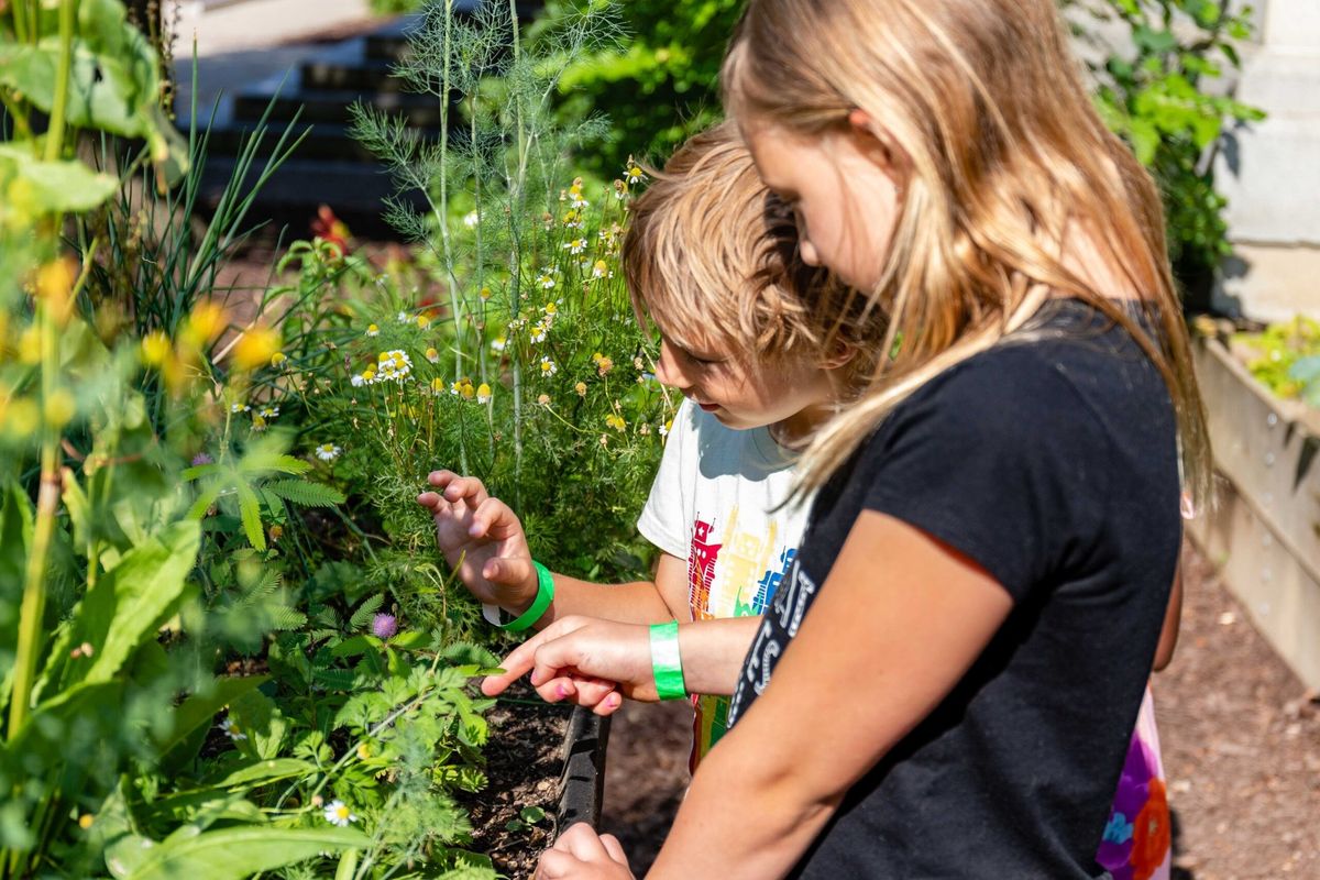 Fall Harvest Fest