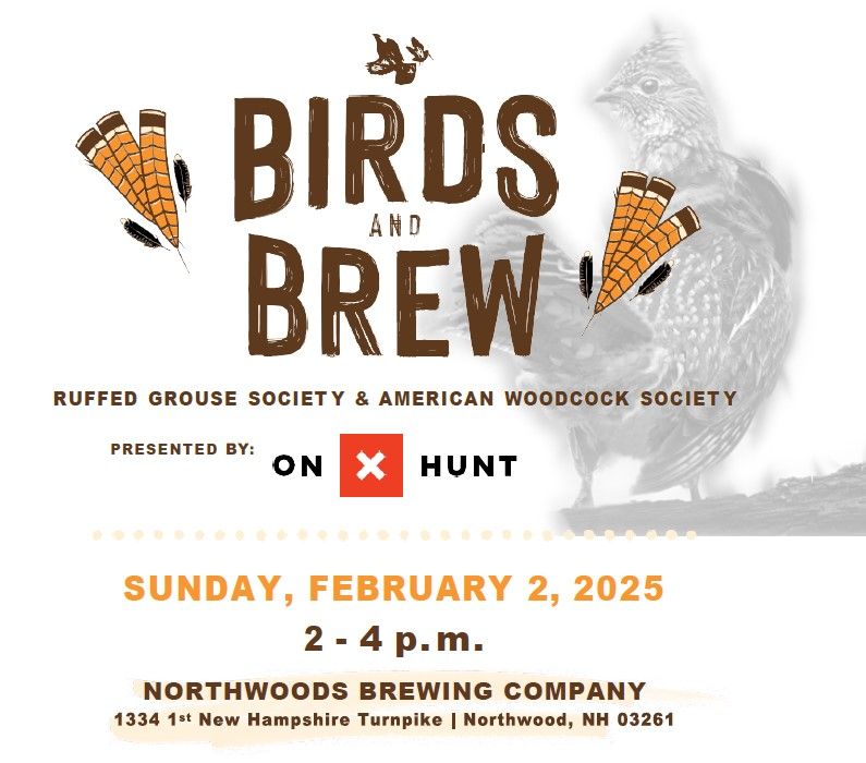 Birds & Brew at Northwoods Brewing