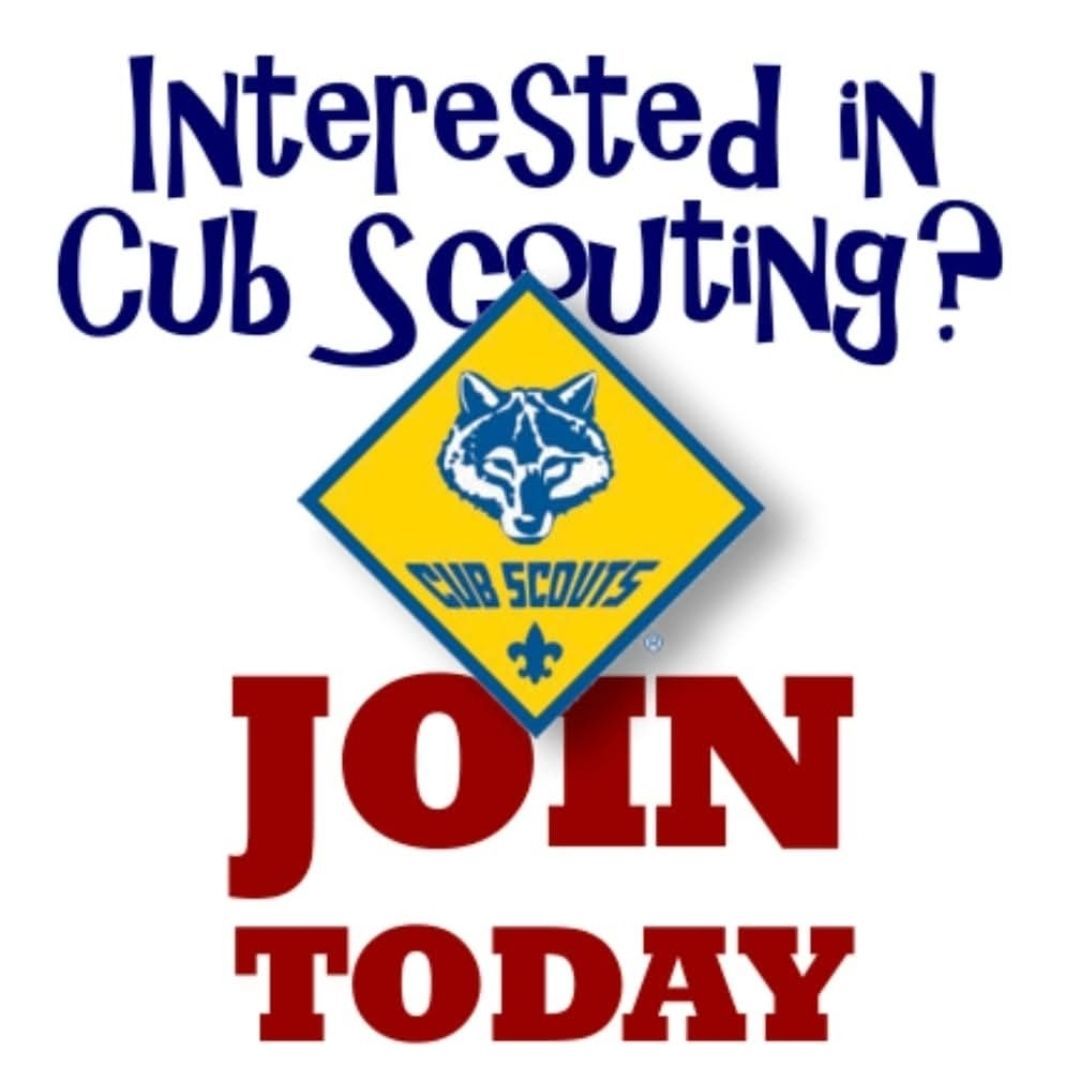 Cub Scout roundup 