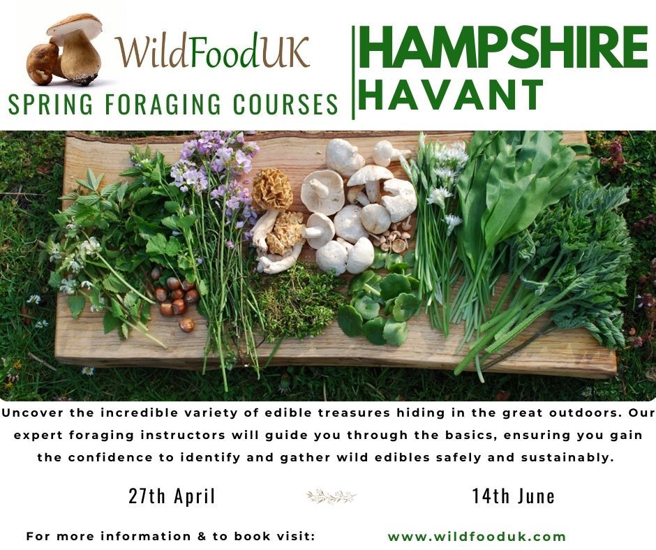 Hampshire, Havant Spring Foraging Courses