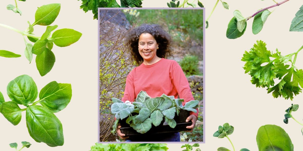 Herb Liberation! by Karen Bussolini  | Lecture, Lunch & Book Signing 