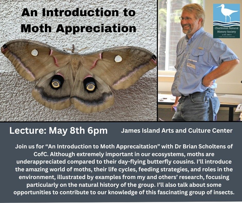 Lecture: An Introduction to Moth Appreciation