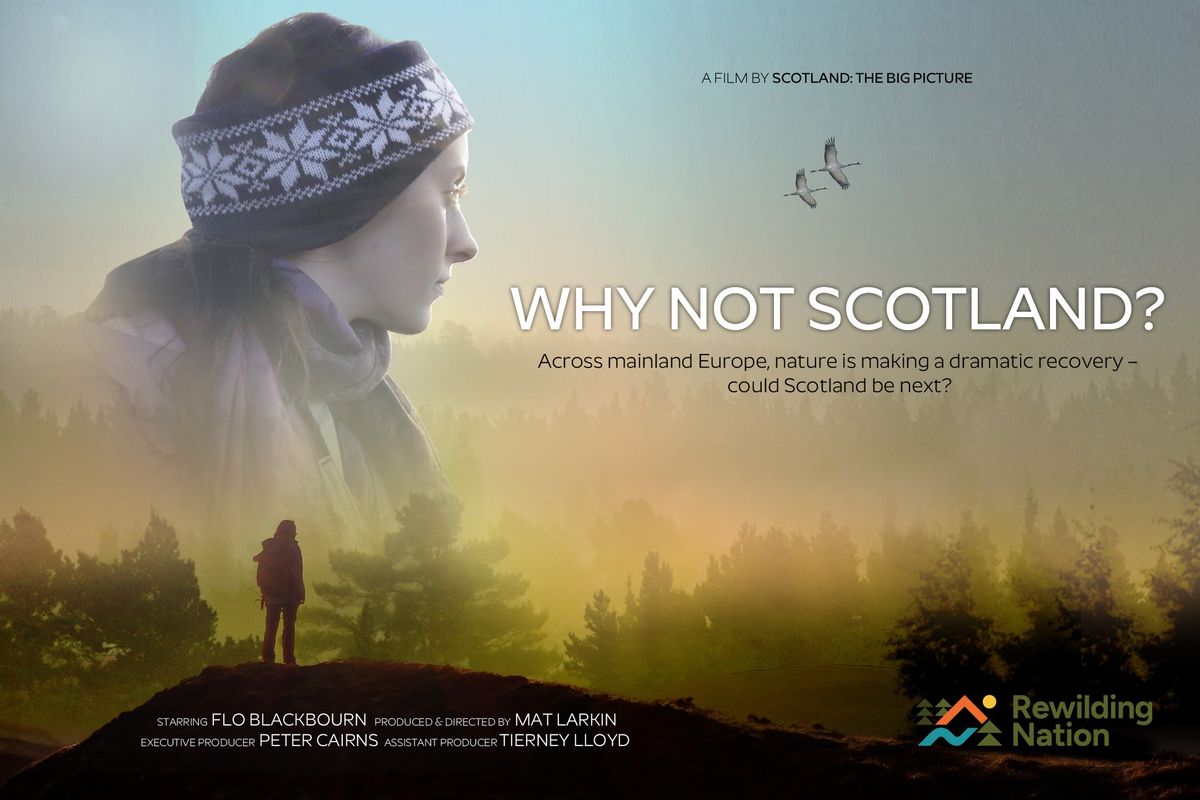 Why Not Scotland?