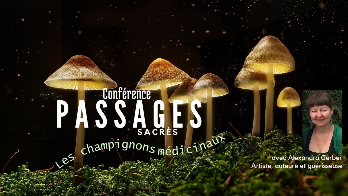 Passages sacr\u00e9s, les champignons m\u00e9dicinaux