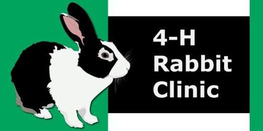Spring Rabbit Clinic