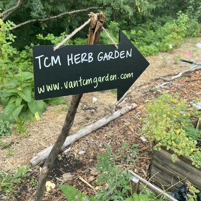 Vancouver TCM Herb Garden at Loutet Farm