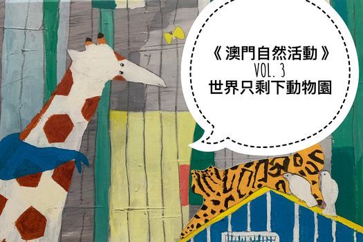 小孩的博物學丨世界只剩下動物園 石排灣郊野公園 石排灣郊野公園 Macau 6 June 21