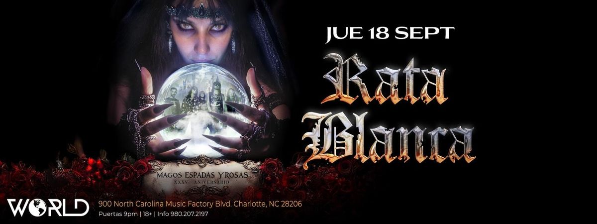 RATA BLANCA EN CHARLOTTE