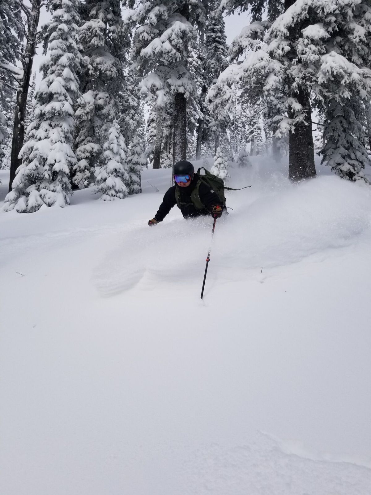 AST1 and Intro Backcountry Skiing or Riding