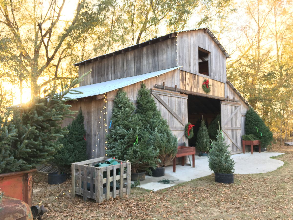 RoseDel & Co Farms Opening Day