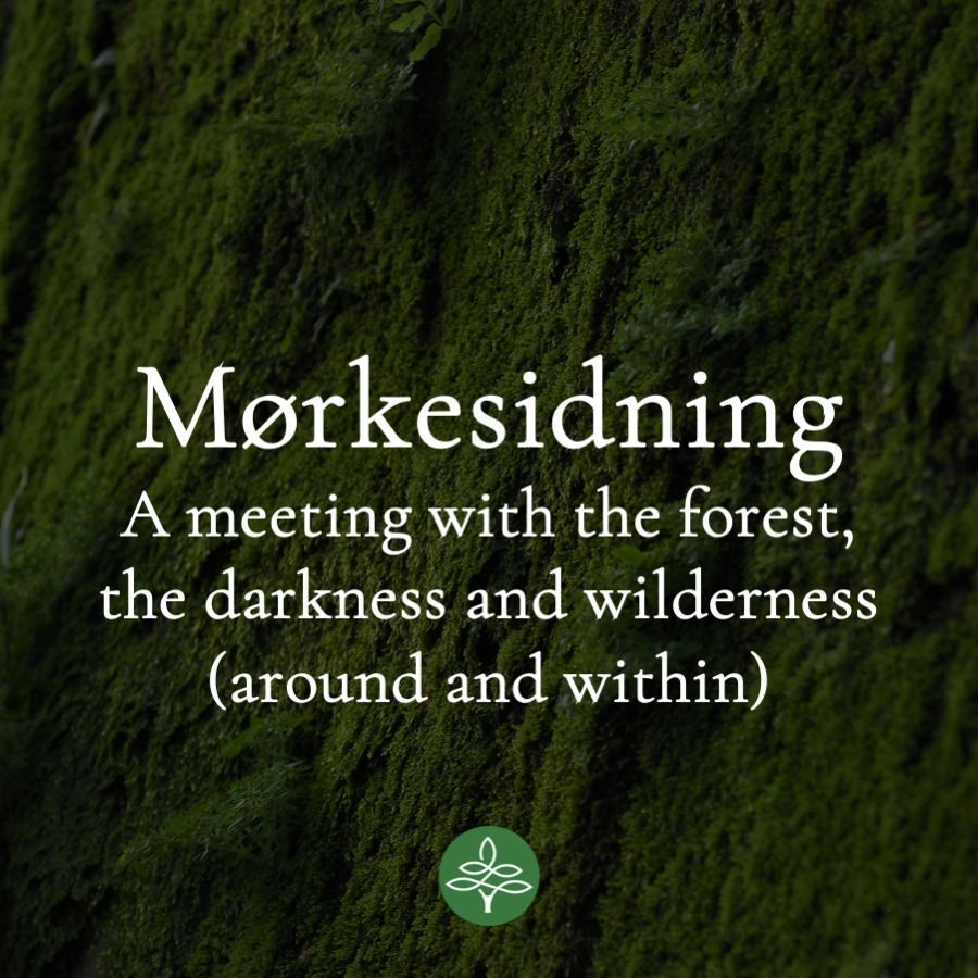 M\u00f8rkesidning - sitting with the dark 