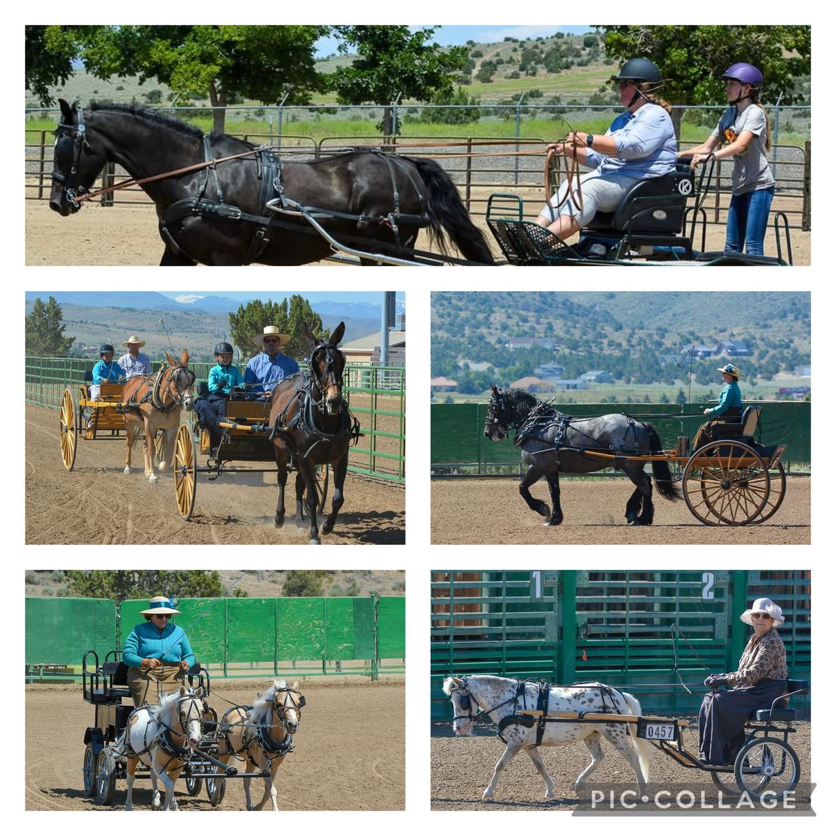 Cal-Neva Driving Club "Come as You Are" Horse Driving Trial