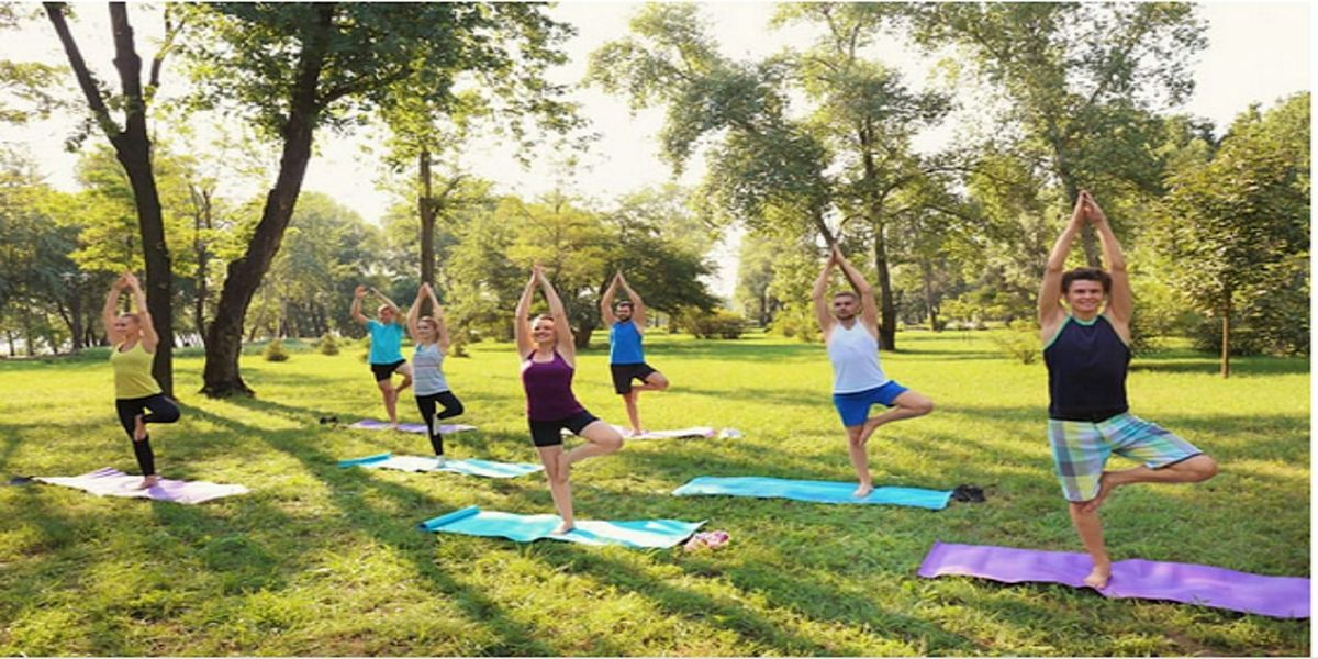 Bayside Yoga in the park (Free event)