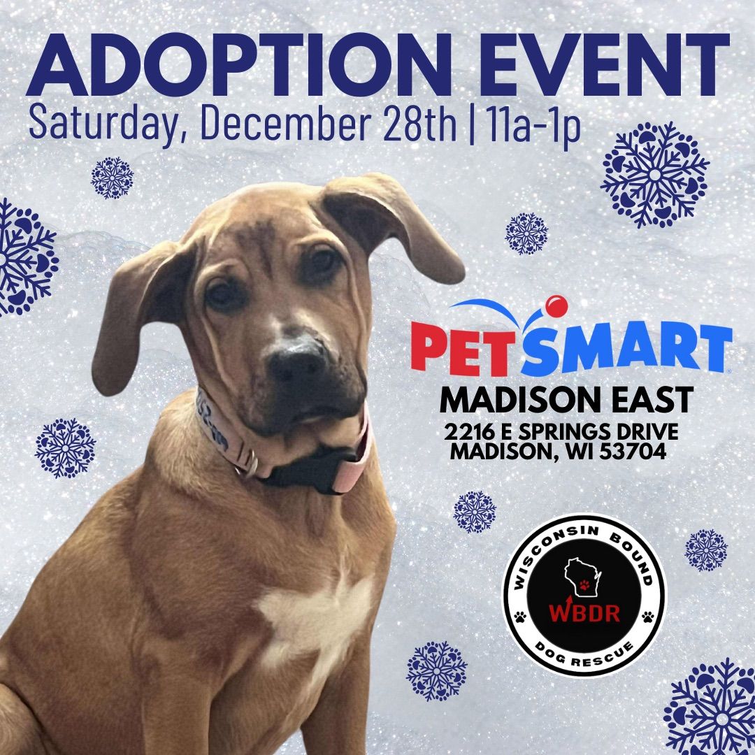 PetSmart Adoption Event 