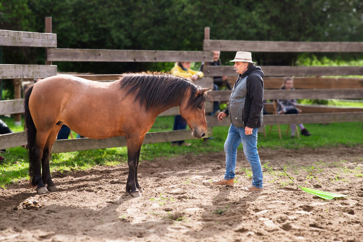 V\u00e1clav Bo\u0159\u00e1nek Horsemanship II. (P\u0159\u00edprava kon\u011b ze zem\u011b, v kruhov\u00e9 ohrad\u011b a na lan\u011b)